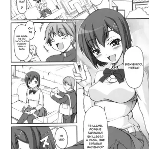 Manga Hentai: El Dulce Sabor Prohibido de Mi Hermana - Página 5