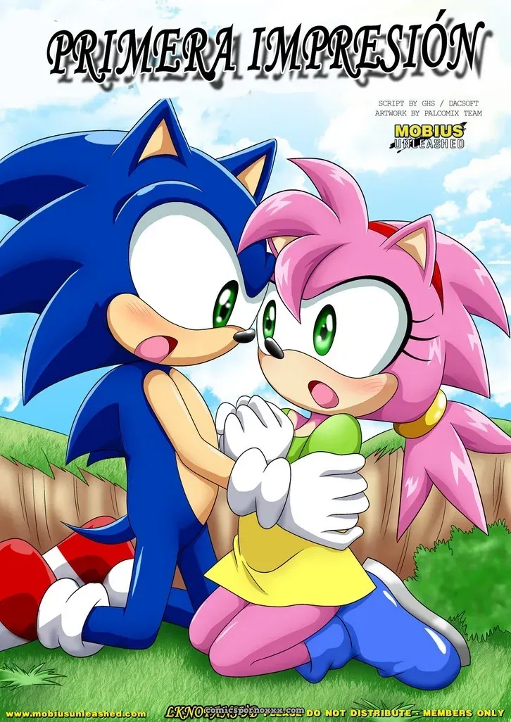 La Primera Impresión (Sonic Follando a Amy) - Página 1