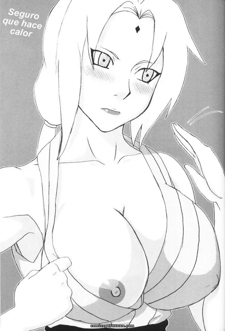 Tsunade´s Book (El Libro de la Abuela Tsunade XXX) - Página 2