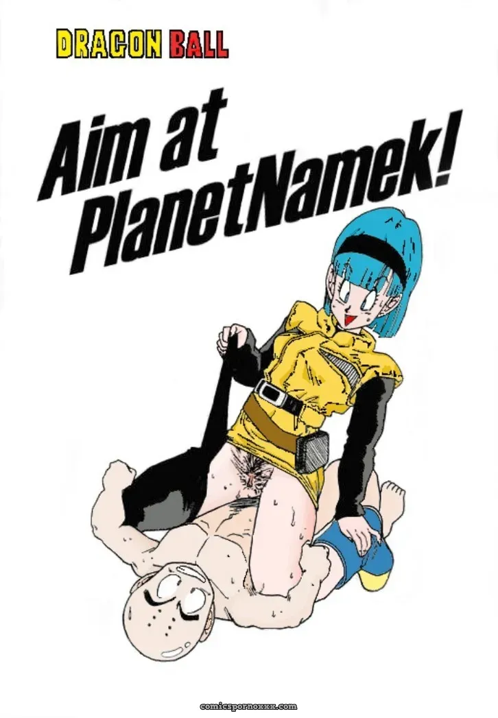 Aim at Planet Namek! (Krilin Folla a Bulma) - Página 1