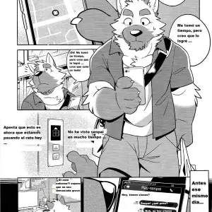 Estilo Salvaje (Takemoto Arashi) ¡Al Límite! - Página 4