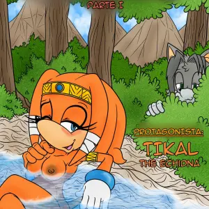 Naiars Misadventures #1 – Tikal The Echidna - Página 1