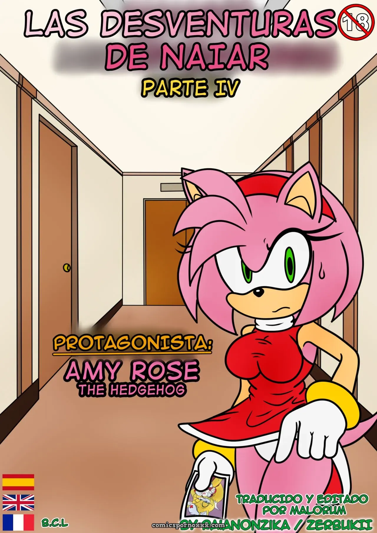 Naiars Misadventures #4 – Amy Rose The Hedgehog - Página 1