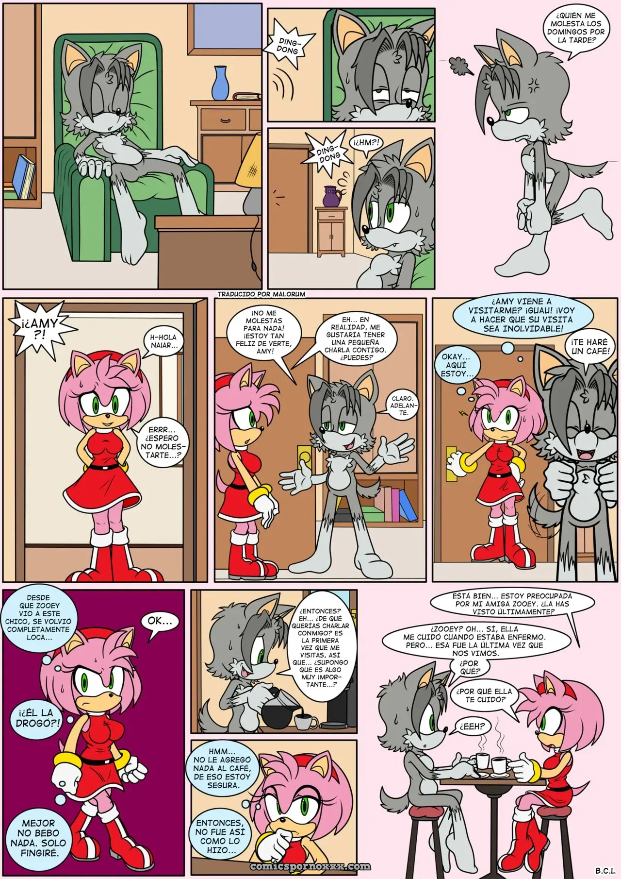 Naiars Misadventures #4 – Amy Rose The Hedgehog - Página 2