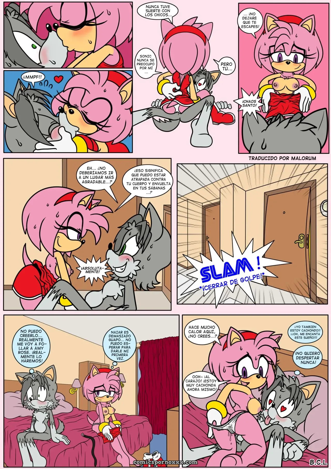 Naiars Misadventures #4 – Amy Rose The Hedgehog - Página 5