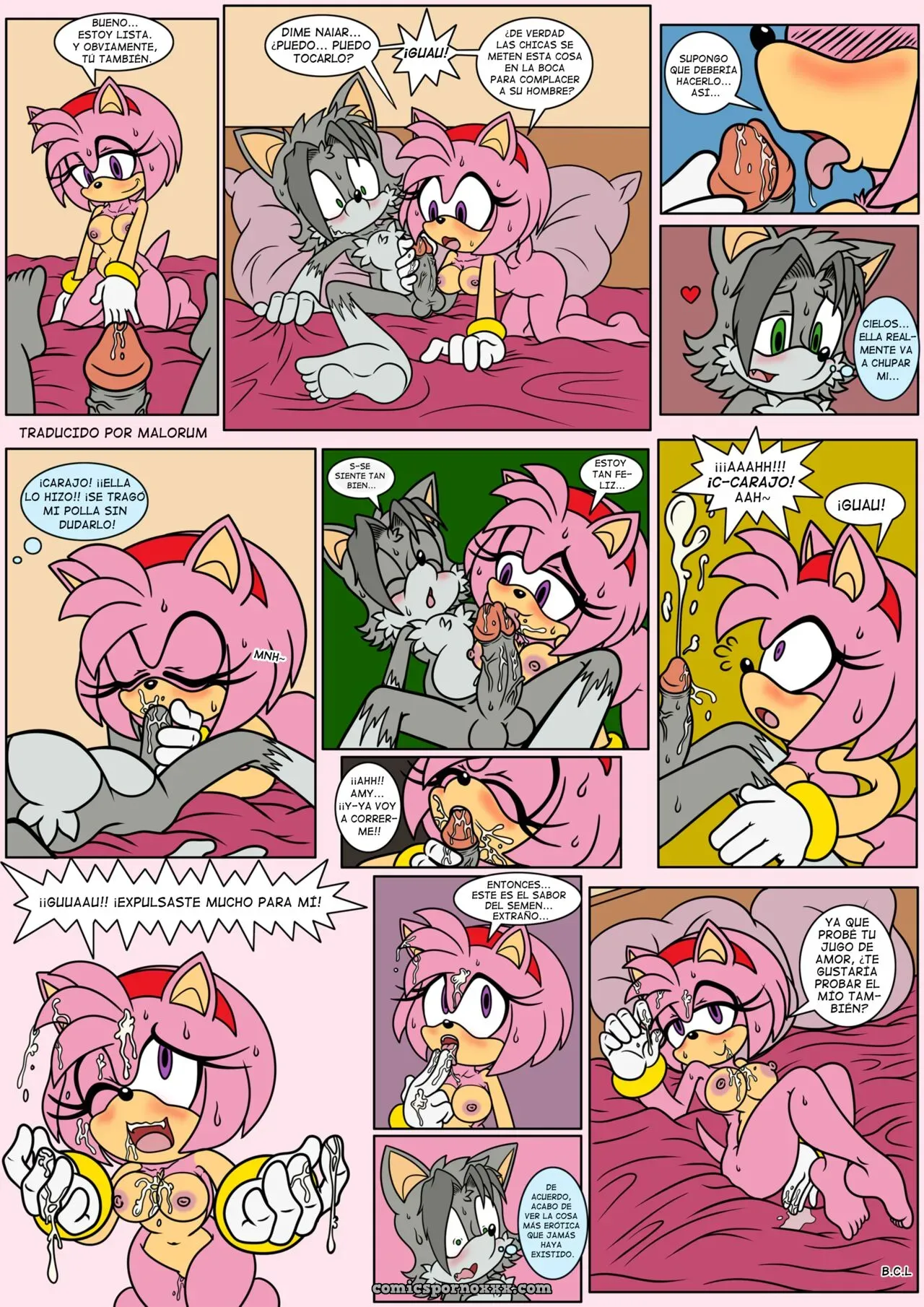 Naiars Misadventures #4 – Amy Rose The Hedgehog - Página 6