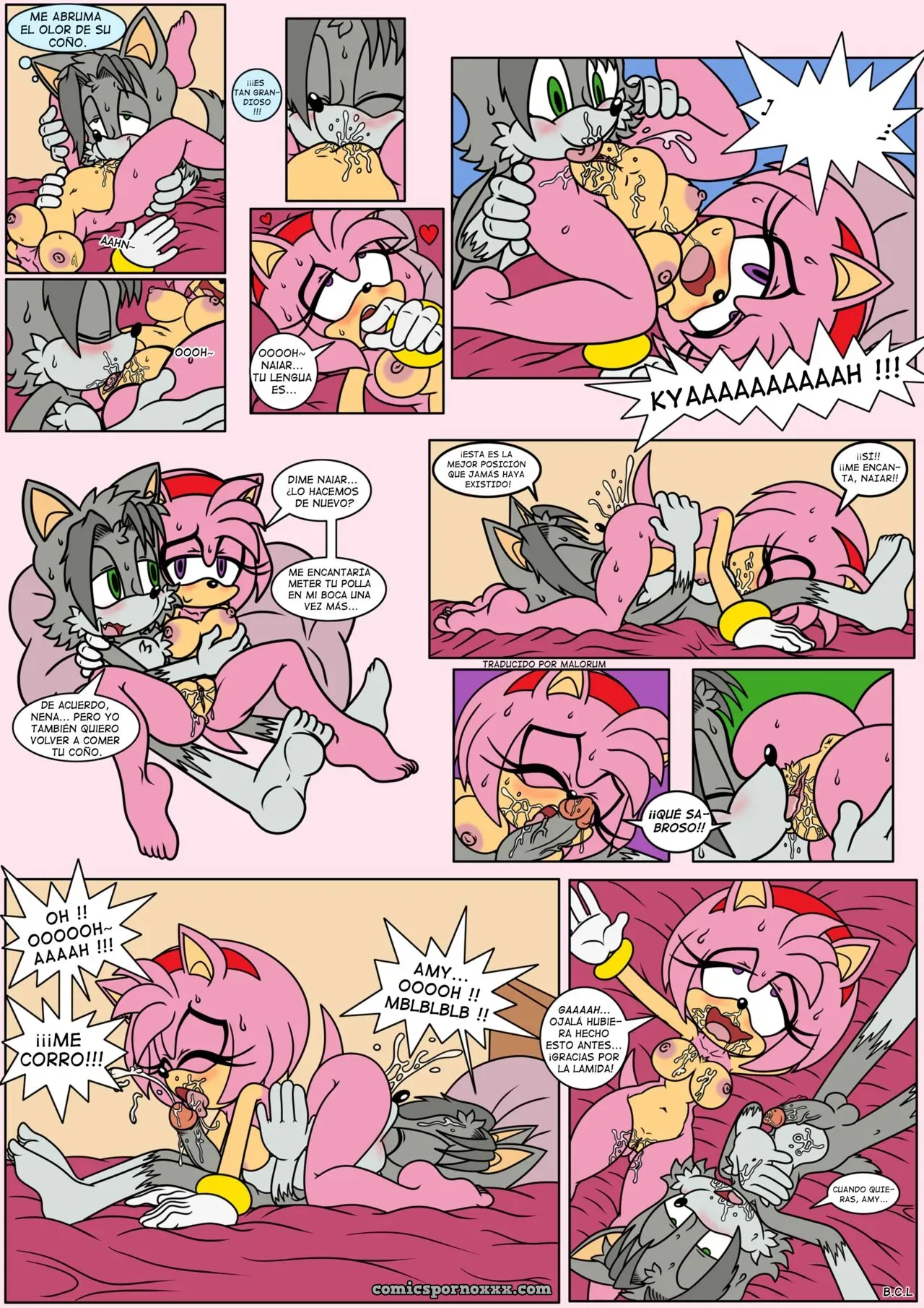Naiars Misadventures #4 – Amy Rose The Hedgehog - Página 7