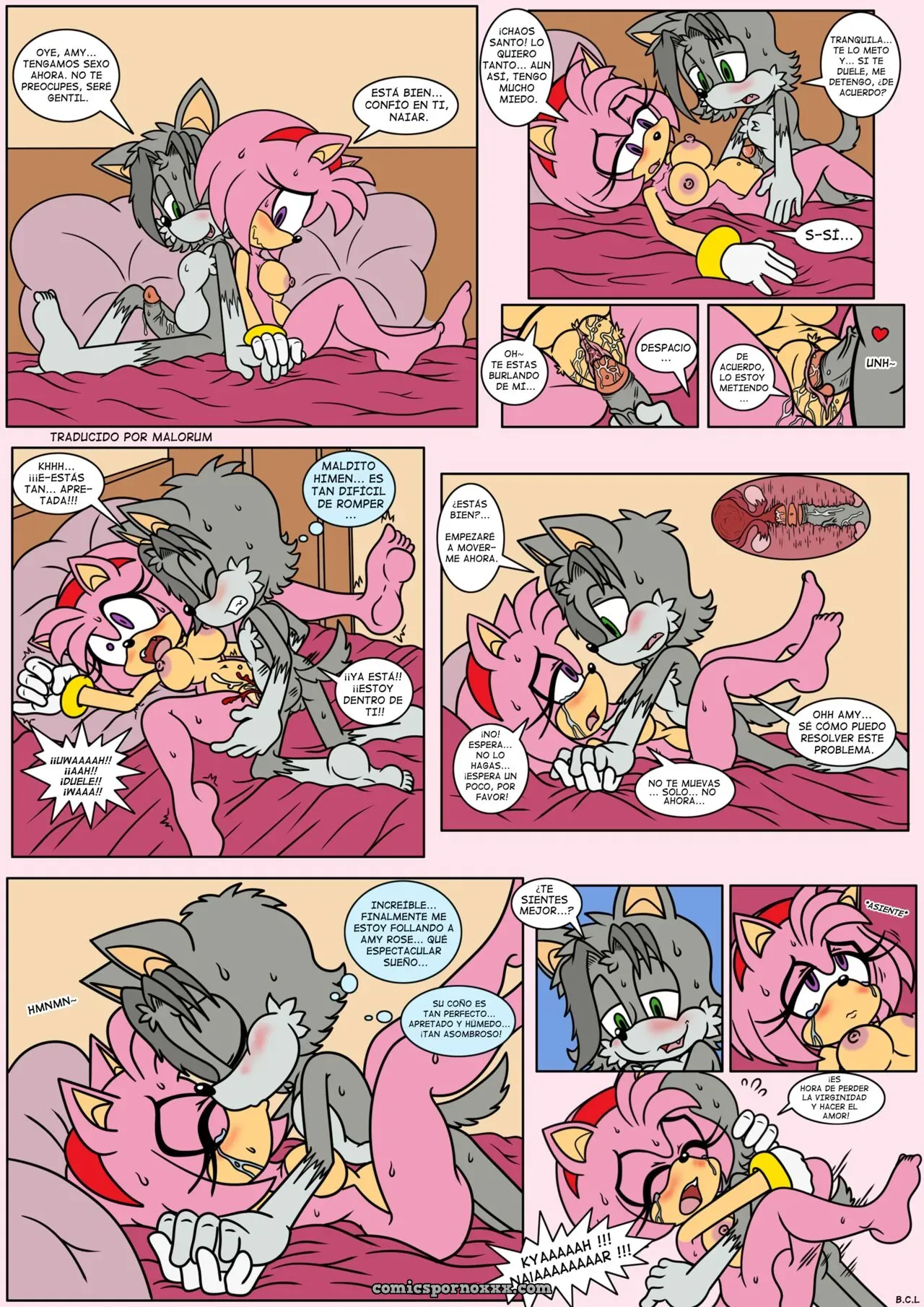 Naiars Misadventures #4 – Amy Rose The Hedgehog - Página 8