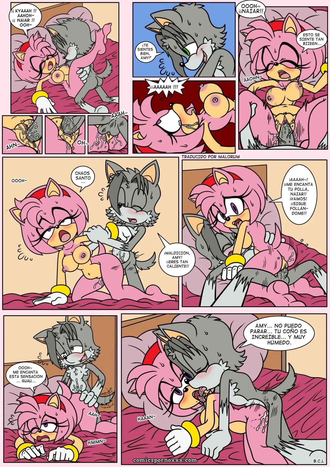 Naiars Misadventures #4 – Amy Rose The Hedgehog - Página 9