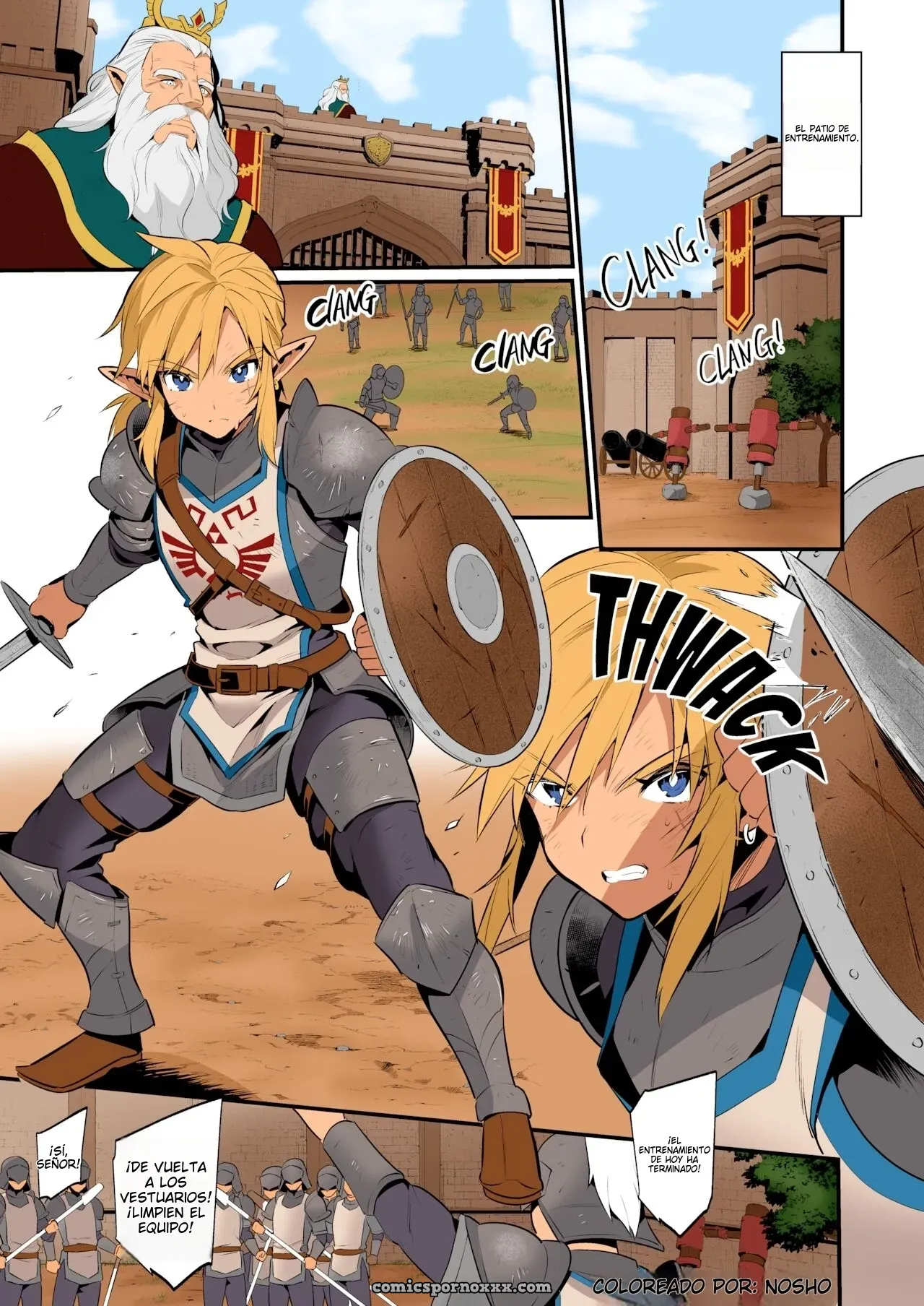The Torturous raining of New Recruits (The_Legend_of_Zelda) - Página 4