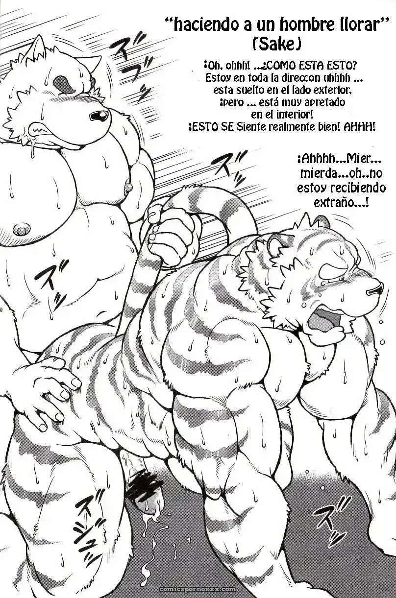 Gran Tigre #2 - Página 15