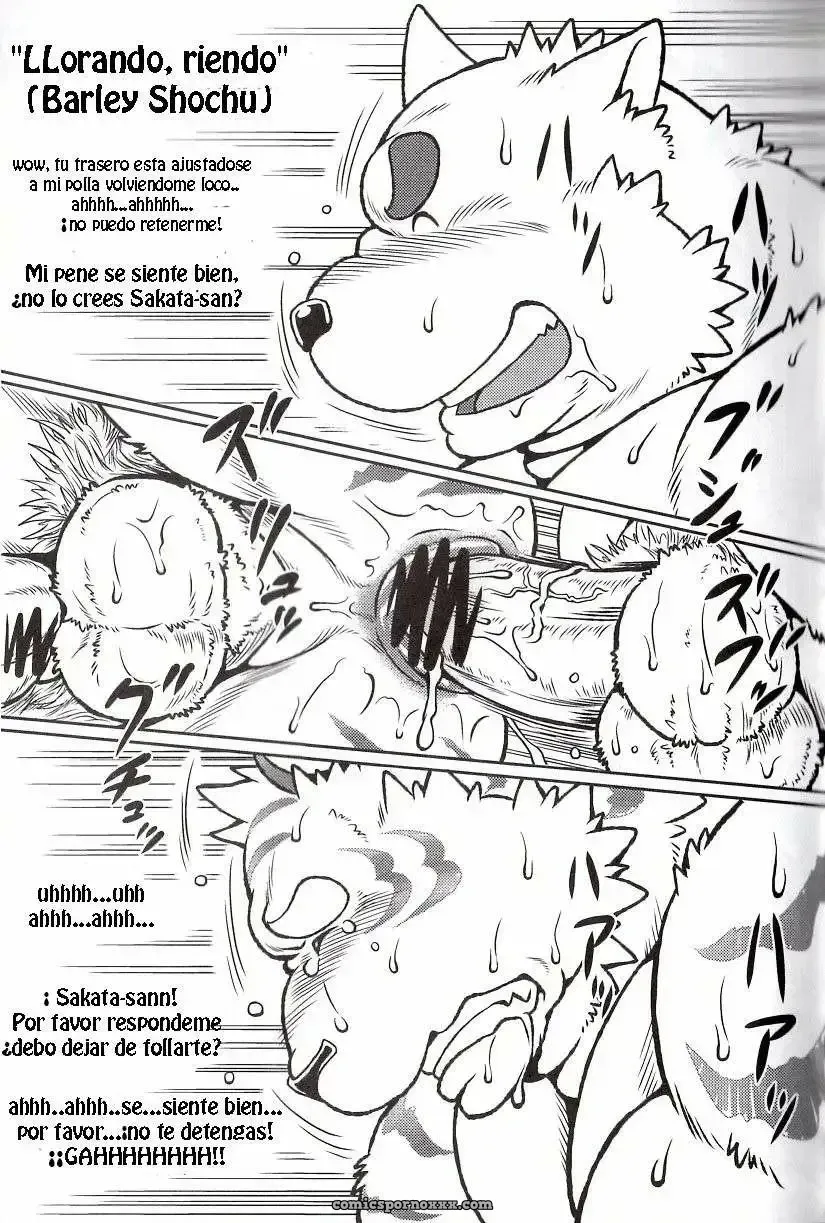 Gran Tigre #2 - Página 16