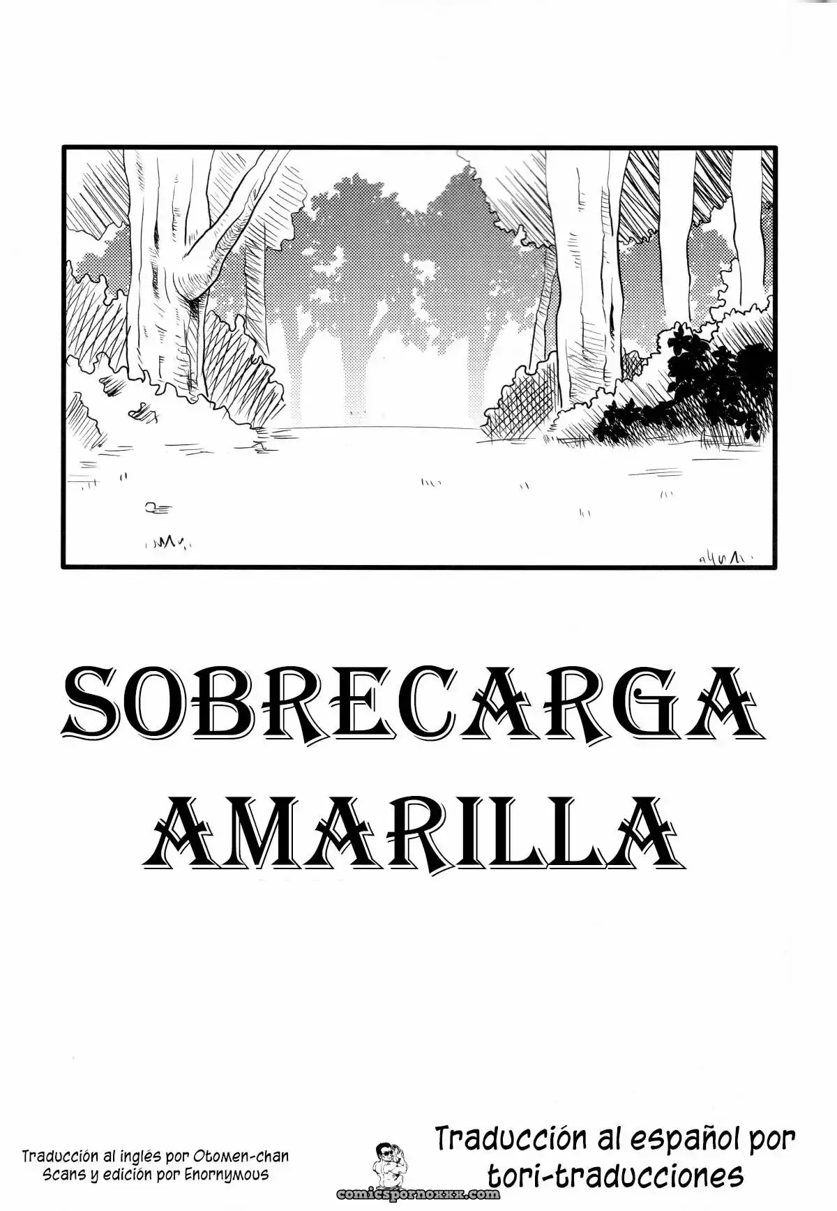 Sobrecarga Amarilla - Página 2