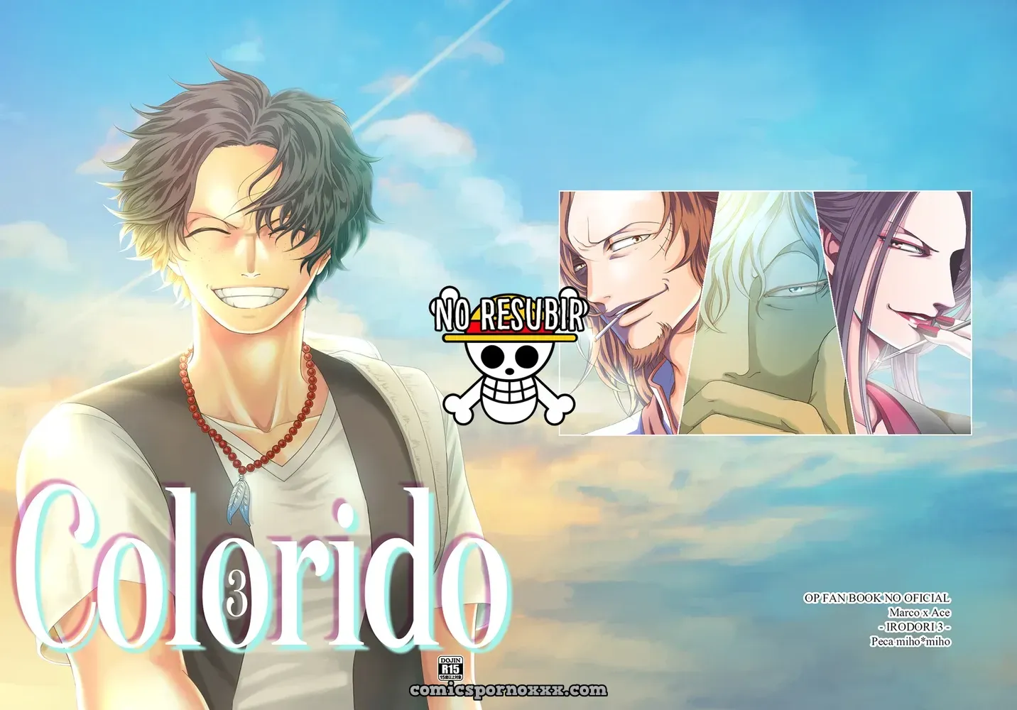 Colorido #3 (One Piece) - Página 1