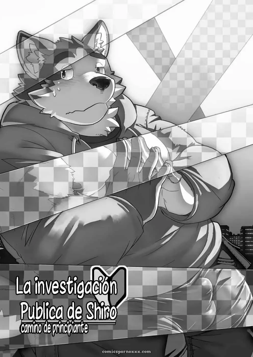 La Investigación Pública De Shiro - Página 3