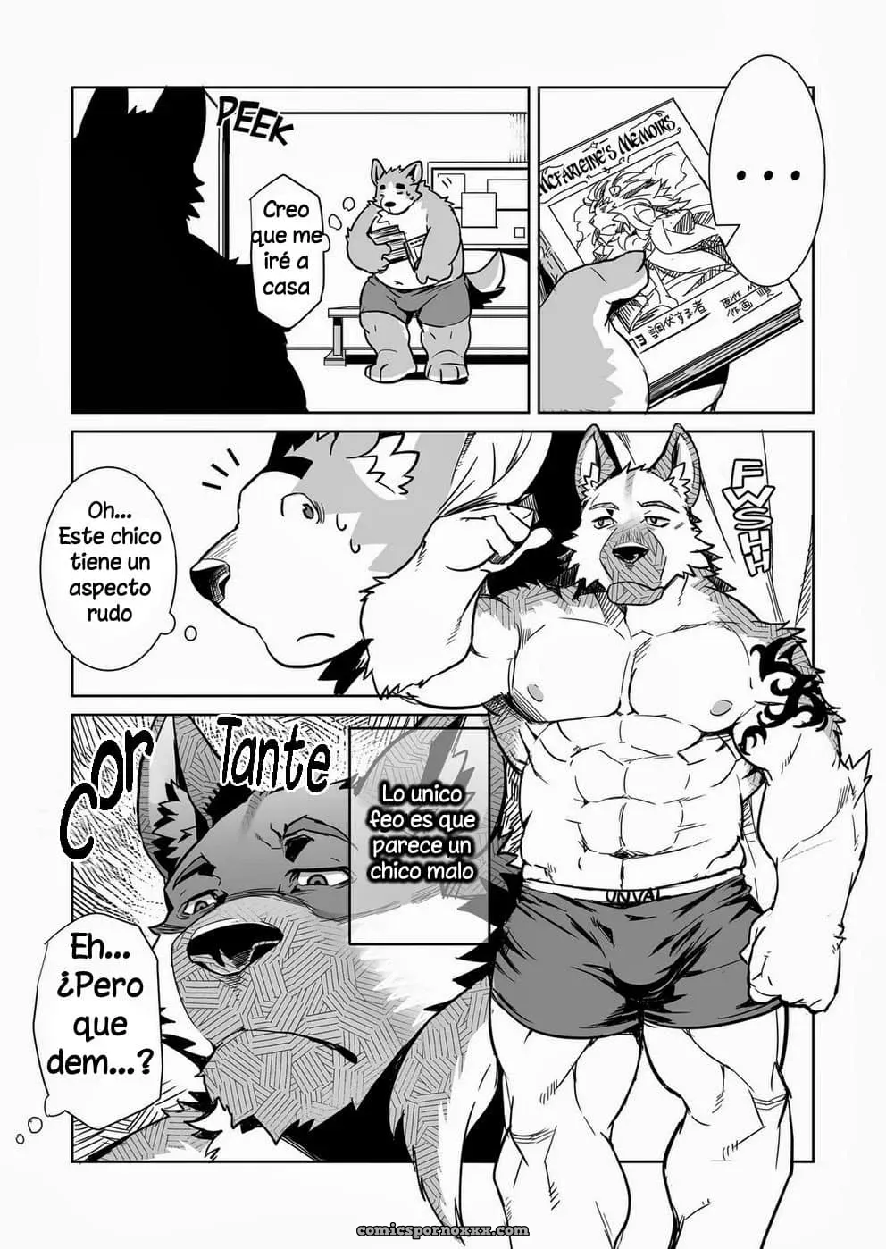 La Investigación Pública De Shiro - Página 9