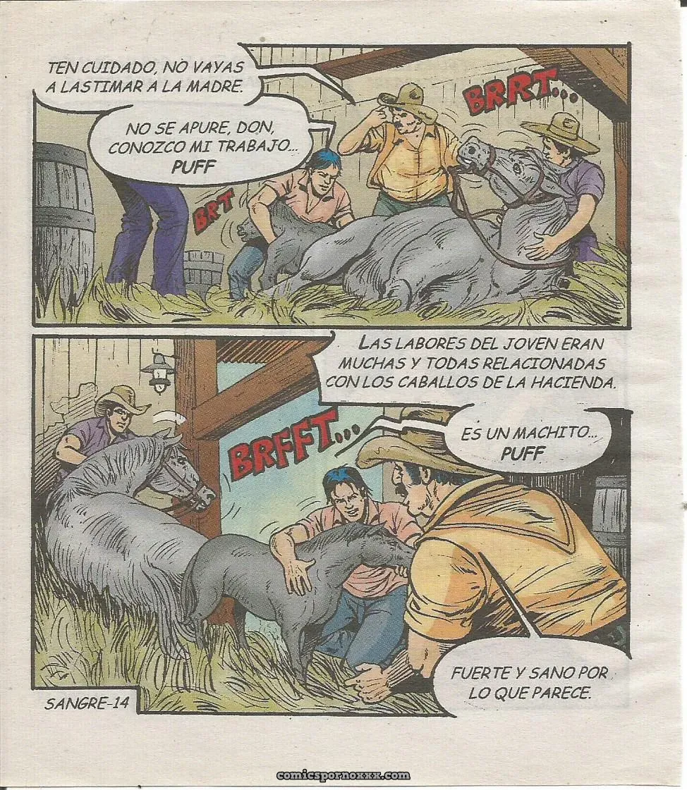 Sangre Caliente #232 - Página 15