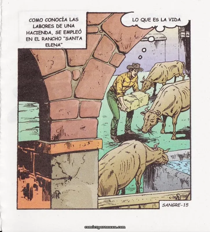 Sangre Caliente #258 - Página 17