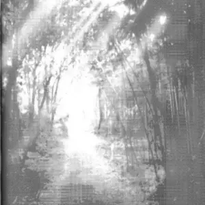 Yoru Wa Mijikashi Koiseyo Shounen (Boku No Hero Academia) - Página 4