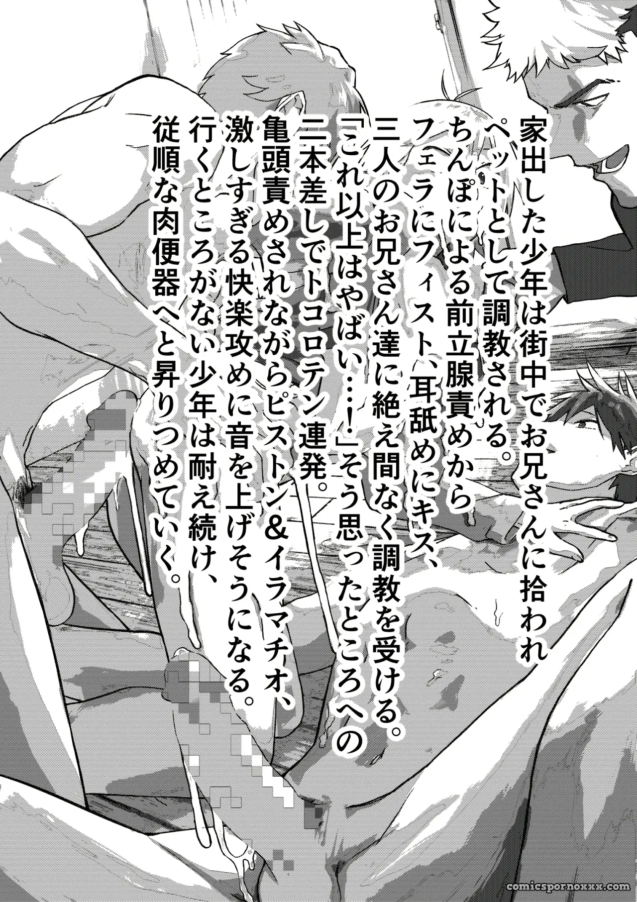 Juguete Anal Para Entrenamiento De Chicos Fugitivos - Página 3