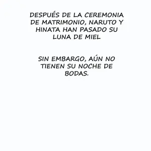 Attaka Uzumaki #1 (Noche De Bodas De Hinata Y Naruto) - Página 2