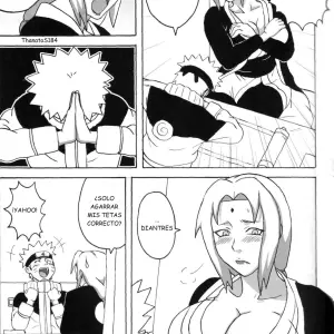 Kyonyuu no Ninja Chichikage (Naruhodo) - Página 6