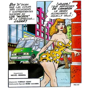 Microbuseros 01 - Página 2