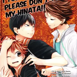 I Told You!! Don’t Touch My Hinata!! (Zeroshiki) - Página 2