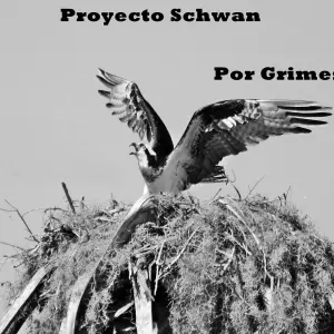 Proyecto Schwan Capitulo 5: El Nido Destruido - Página 1