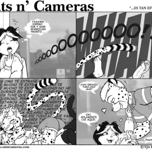 Cats & Cameras - Página 2
