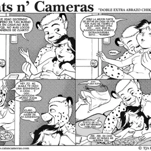 Cats & Cameras - Página 3