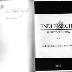 Endless Sight - Página 2